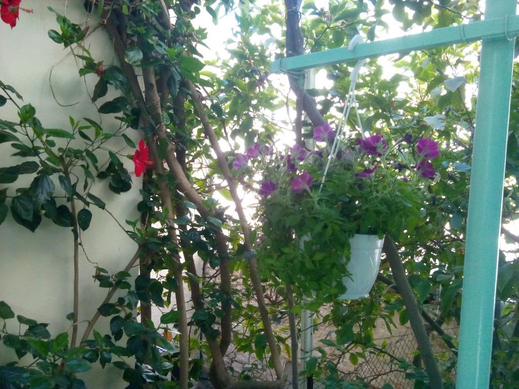 Mary'S Studios Agia Pelagia  Luaran gambar